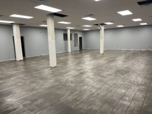 {{brizy_dc_image_alt imageSrc=